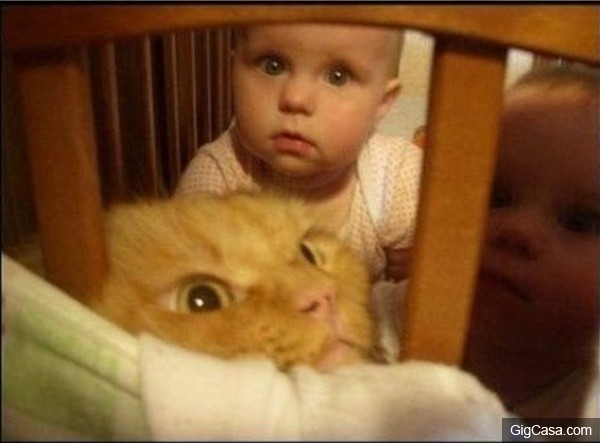 21张照片证明人类小时候还是有点可爱的。