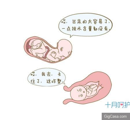 寶寶長得很「醜」?新生兒相貌啥決定?